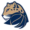 BK Levharti Chomutov