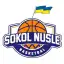 Sokol Nusle B